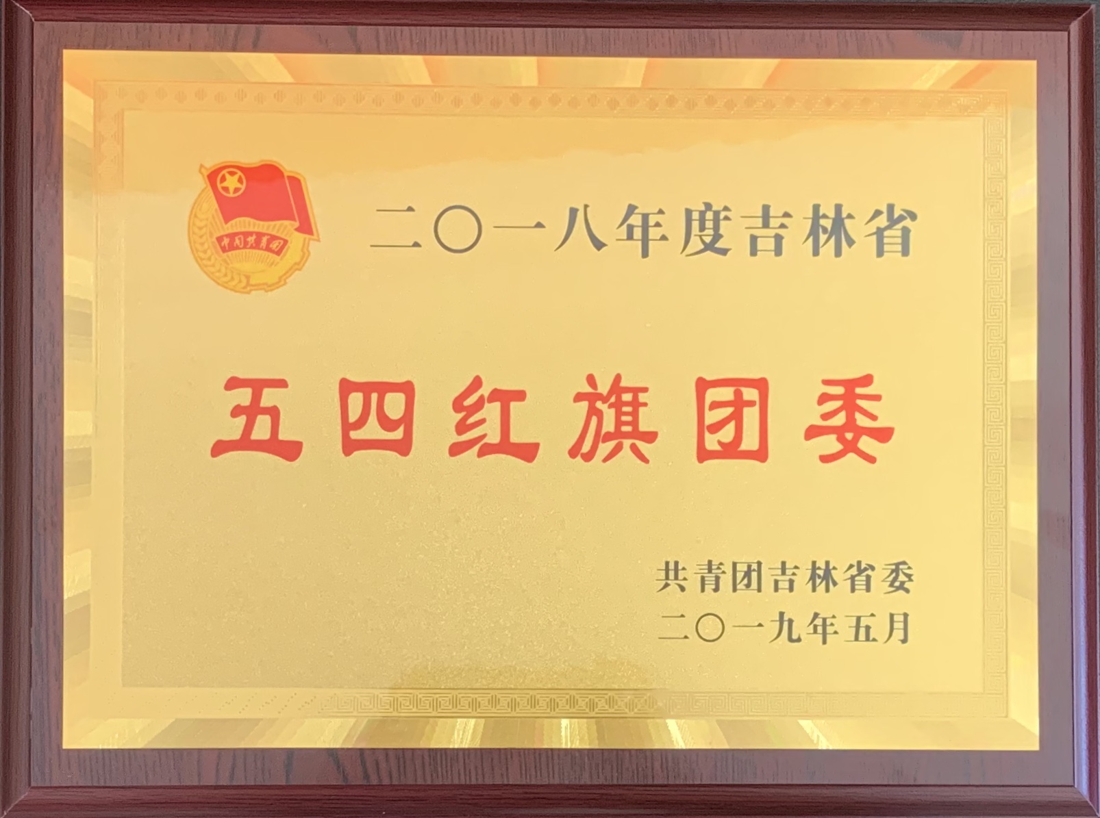 2018年度五四红旗团委.jpg